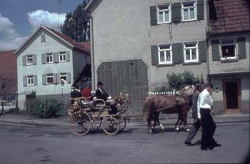Hipp1968-21