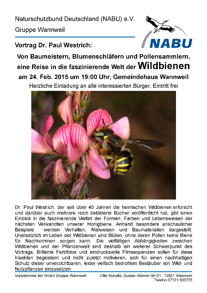 150121_NABU_Plakat_Wildbienen