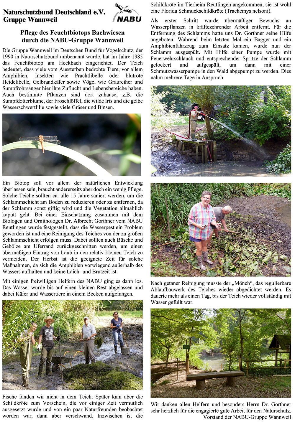 180911_Pflege_Bachwiesen_3_sm