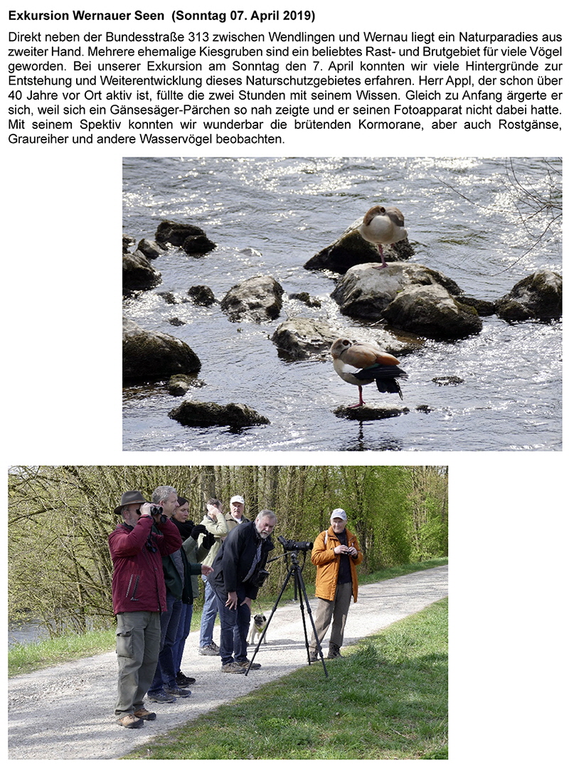190407_Bericht_Wernau3