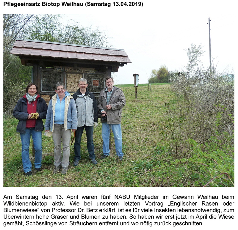 190413_Bericht_Weilhau_Biotop3